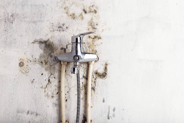 Best Certified Mold Removal  in Granite Bay, CA