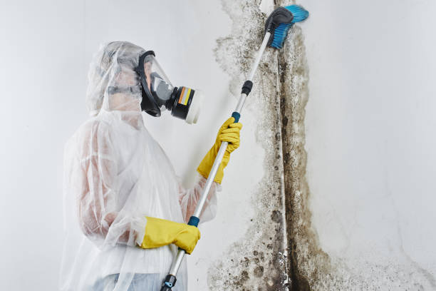 Best Mold Testing  in Granite Bay, CA