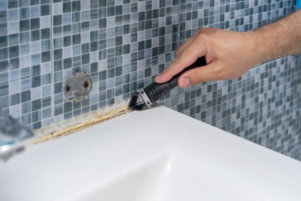 Best Best Mold Removal Companies  in Granite Bay, CA