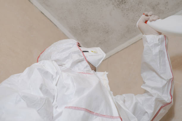 Best Office Mold Removal Services  in Granite Bay, CA